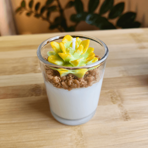 Lembrancinha Mini Vela Suculentas
